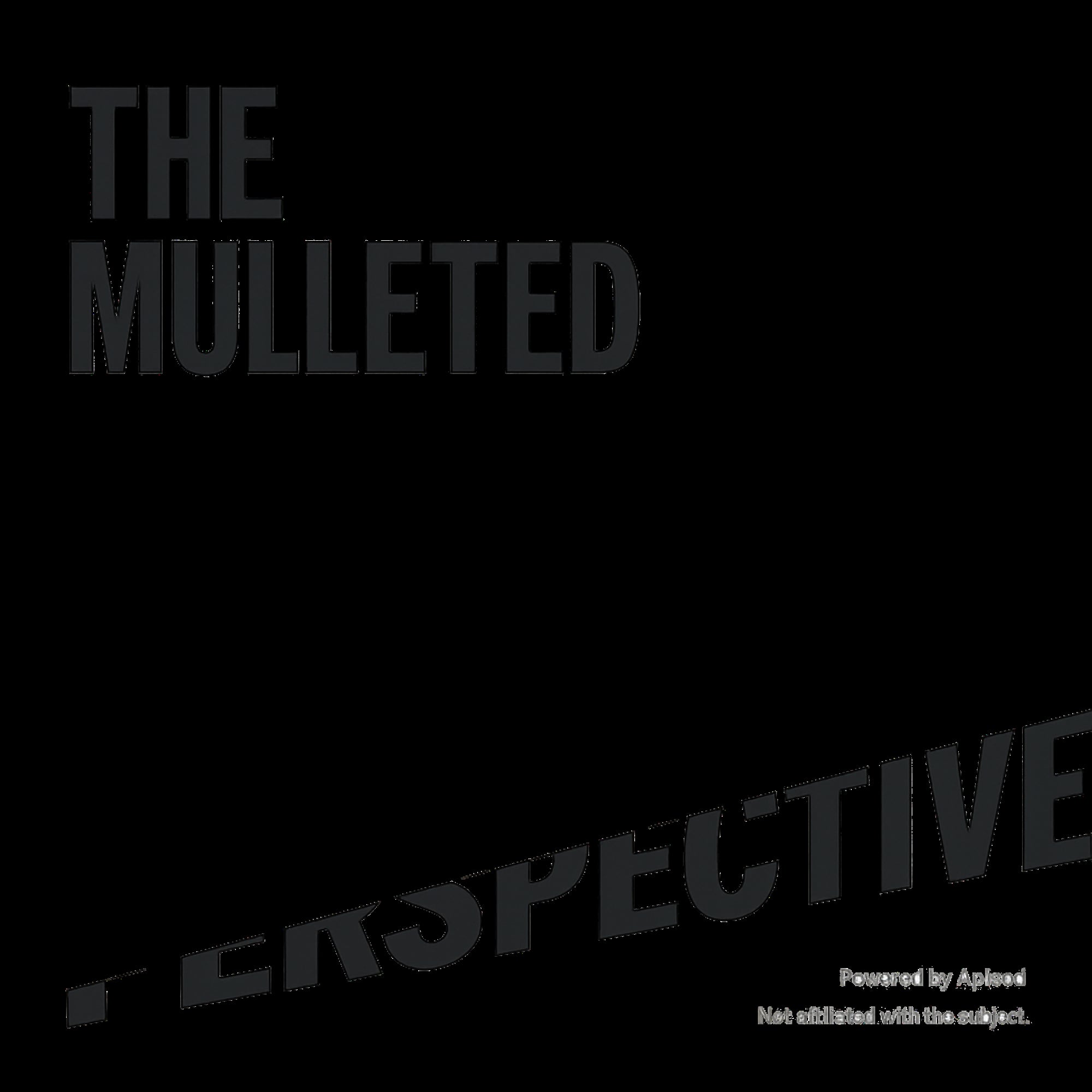 The Mulleted Perspective podcast cover art